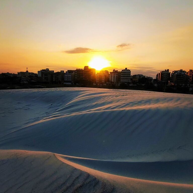 449031338 2460802377643847 8191879044254737711 n 768x768