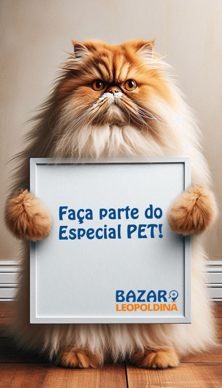 persa-placa-bazar.fw