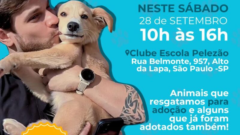 Clube Pelezão promove Cãominhada e adoção de animais