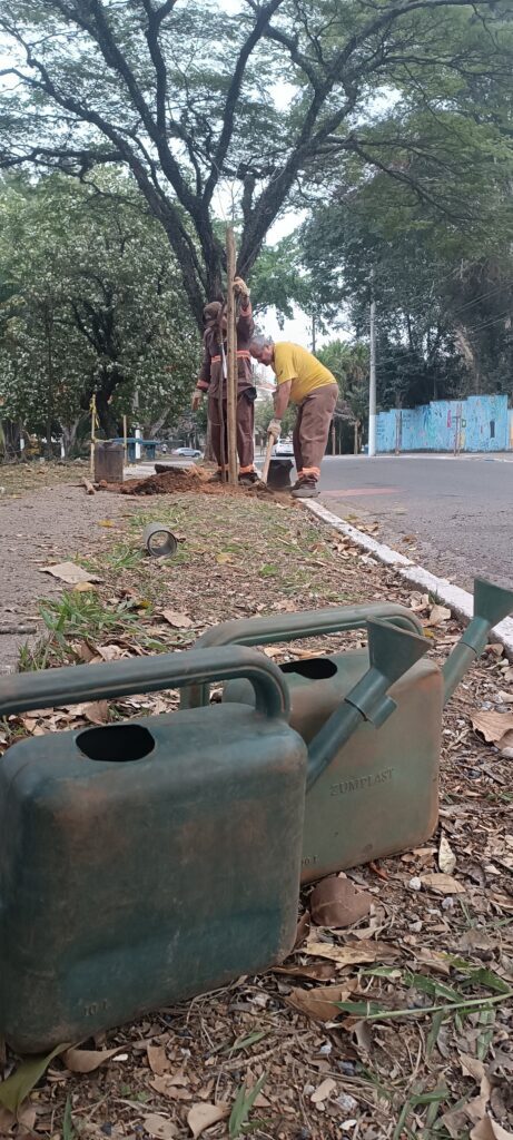 Tem dia que é um respiro de renovada a esperança.