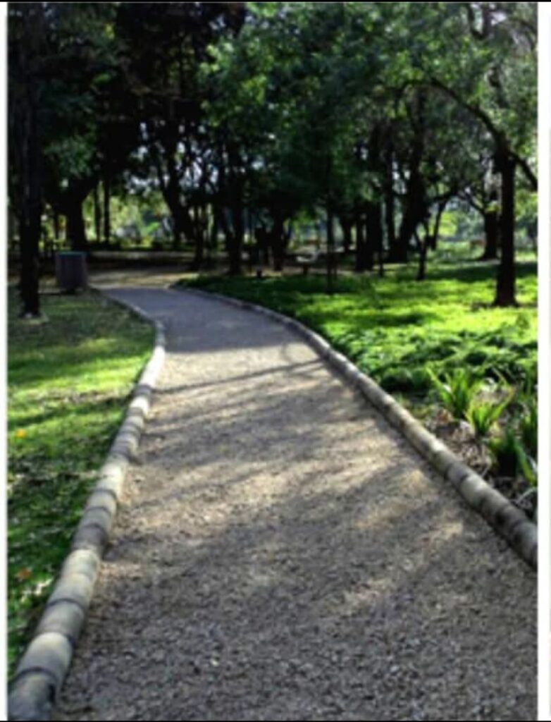 Parque Vila Leopoldina- Orlando Villas-Boas: aceso o sinal de alerta